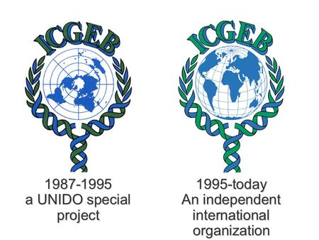 1987-1995 a UNIDO special project 1995-today An independent international organization.