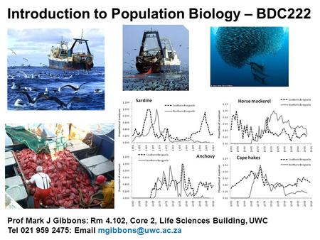 Introduction to Population Biology – BDC222 Prof Mark J Gibbons: Rm 4.102, Core 2, Life Sciences Building, UWC Tel 021 959 2475: