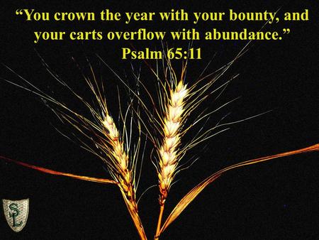 HarvestFest October 2, 2010 Sheboygan Lutheran High School 5-9 p.m. “You crown the year with your bounty, and your carts overflow with abundance.” Psalm.