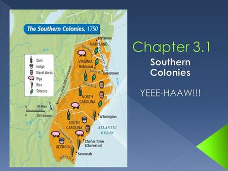 Southern Colonies YEEE-HAAW!!!