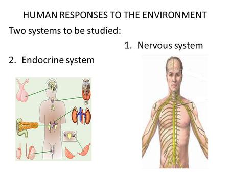 HUMAN RESPONSES TO THE ENVIRONMENT