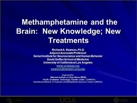 Methamphetamine and the Brain: New Knowledge; New Treatments Methamphetamine and the Brain: New Knowledge; New Treatments Richard A. Rawson, Ph.D Adjunct.