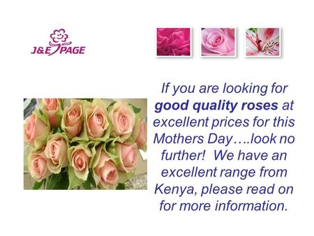 If you are looking for good quality roses at excellent prices for this Mothers Day….look no further! We have an excellent range from Kenya, please read.