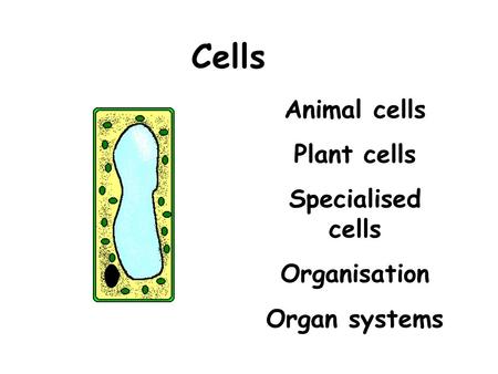 Cells Animal cells Plant cells Specialised cells Organisation