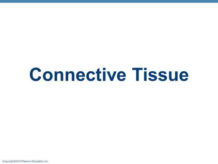 Connective Tissue.