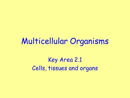 Multicellular Organisms