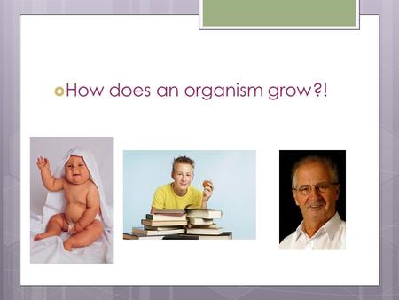  How does an organism grow?!. Cell Cycle/Cell Reproduction All Change is a miracle to contemplate; but it is a miracle taking place every second. – Henry.