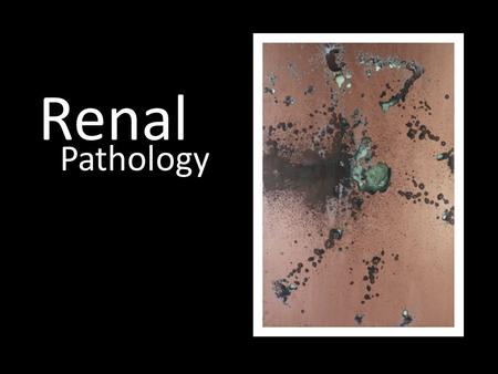 Renal Pathology. Introduction Glomerular diseases Tubular and interstitial diseases Diseases involving blood vessels Cystic diseases Tumors Renal Pathology.