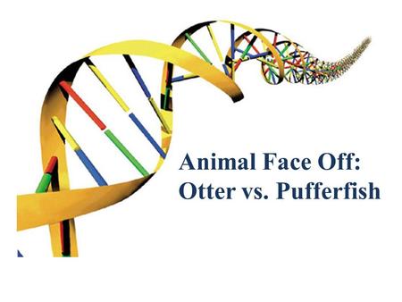 Animal Face Off: Otter vs. Pufferfish.  The universe is written in the language of mathematics ◦ Galileo Galilei, 1623  Quantitative analysis of natural.