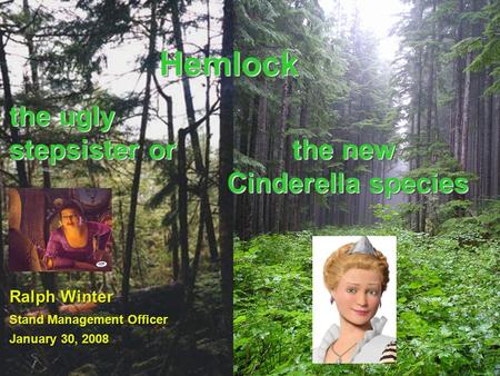 HemlockHemlock Ralph Winter Stand Management Officer January 30, 2008 the ugly stepsister or the new Cinderella species Cinderella species the new Cinderella.