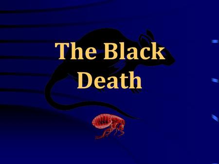 The Black Death. Key questions There are 3 questions that will be asked during the course of the lesson; 1.What is the “Black Death”? 2.What caused the.