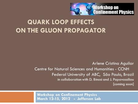 QUARK LOOP EFFECTS ON THE GLUON PROPAGATOR Workshop on Confinement Physics March 12-15, 2012 - Jefferson Lab Arlene Cristina Aguilar Centre for Natural.