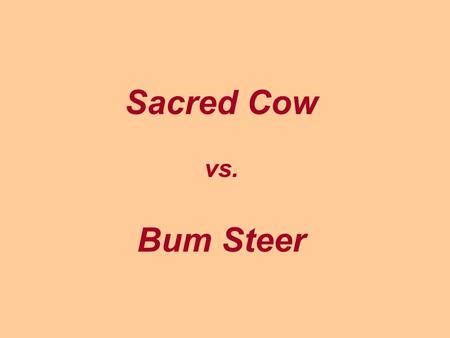 Sacred Cow vs. Bum Steer. Cost / Benefit of Cattle in India.