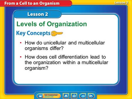 Levels of Organization