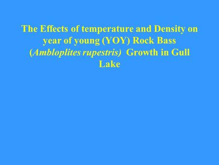 The Effects of temperature and Density on year of young (YOY) Rock Bass (Ambloplites rupestris) Growth in Gull Lake.