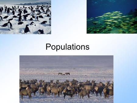 Populations. Important Vocabulary 1. Birth rate: number of births in a population in one year 2. Death rate: number of deaths in a population in one year.