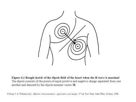 Figure 6.1 Rough sketch of the dipole field of the heart when the R wave is maximal The dipole consists of the points of equal positive and negative charge.