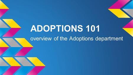 ADOPTIONS 101 overview of the Adoptions department.