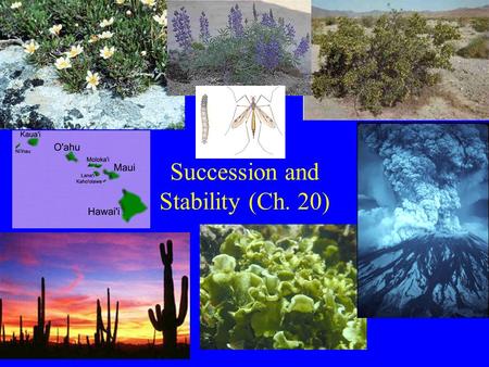 Succession and Stability (Ch. 20). Community/Ecosystem “Stability” Stability: Absence change Resistance: Maintain structure/function in face of disturbance/stress.