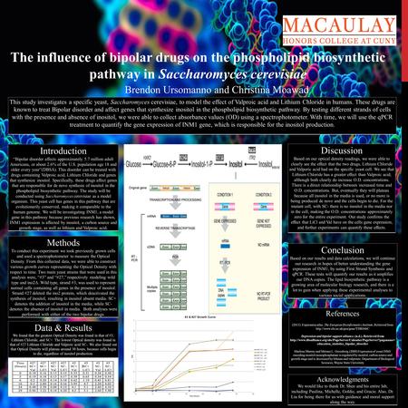 The influence of bipolar drugs on the phospholipid biosynthetic pathway in Saccharomyces cerevisiae This study investigates a specific yeast, Saccharomyces.