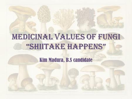 Medicinal Values of Fungi “shiitake Happens” Kim Madura, B.S candidate.