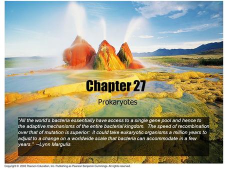 Chapter 27 Prokaryotes “All the world’s bacteria essentially have access to a single gene pool and hence to the adaptive mechanisms of the entire bacterial.