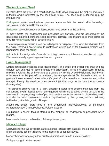 The Angiosperm Seed Seed Development Mature Embryo