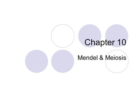 Chapter 10 Mendel & Meiosis.