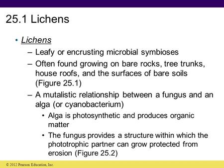 25.1 Lichens Lichens Leafy or encrusting microbial symbioses