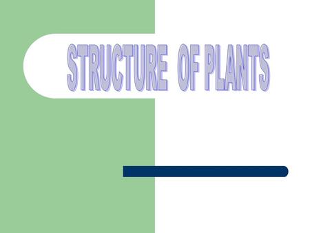 STRUCTURE OF PLANTS.