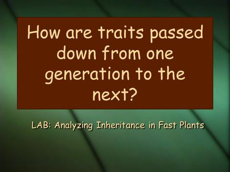 How are traits passed down from one generation to the next? LAB: Analyzing Inheritance in Fast Plants.