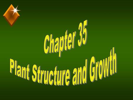 Plant Structure and Growth