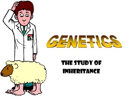 ` The Study of Inheritance. Gregor Mendel – The Father of Genetics Austrian monk Published ideas in 1866 Worked with garden peas Determined basic genetics.