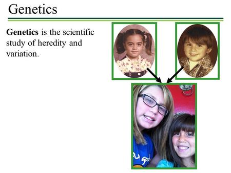 Genetics Genetics is the scientific study of heredity and variation.