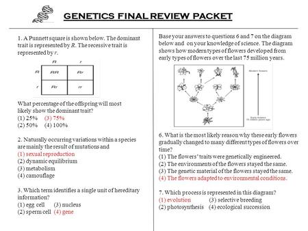 GENETICS FINAL REVIEW PACKET