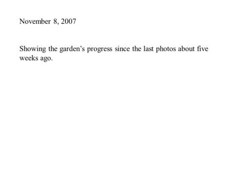 November 8, 2007 Showing the garden’s progress since the last photos about five weeks ago.