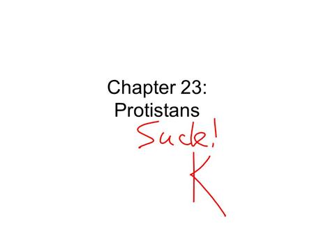 Chapter 23: Protistans. dinoflagellates charophytes green algae red algae Stramenopiles brown algae chrysophytes oomycotes slime molds parabsalids (e.g.,