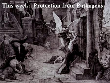 This week: Protection from Pathogens. esophagus stomach Taking in food and oxygen exposes us to pathogens.