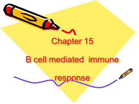 Chapter 15 B cell mediated immune response