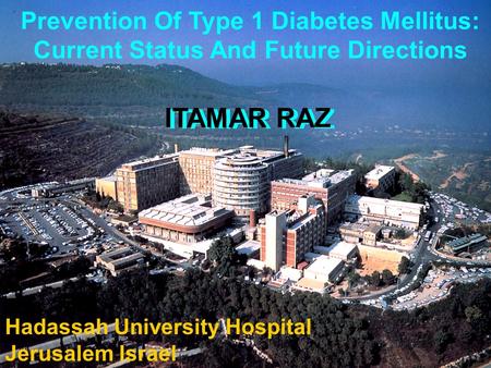 1 © DeveloGen AG Prevention Of Type 1 Diabetes Mellitus: Current Status And Future Directions ITAMAR RAZ Hadassah University Hospital Jerusalem Israel.