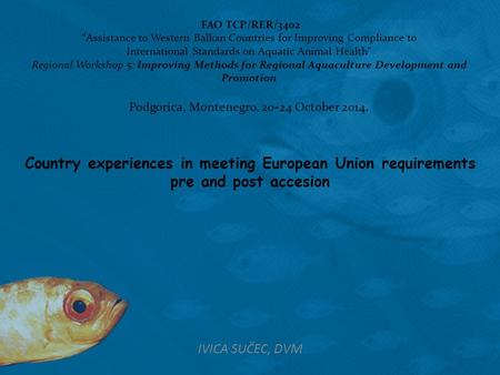 Country experiences in meeting European Union requirements pre and post accesion IVICA SUČEC, DVM FAO TCP/RER/3402 “Assistance to Western Balkan Countries.