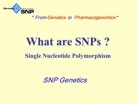 Single Nucleotide Polymorphism