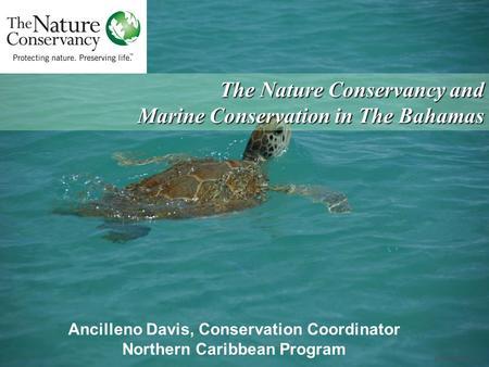 © Carlton Ward, Jr. Ancilleno Davis, Conservation Coordinator Northern Caribbean Program The Nature Conservancy and Marine Conservation in The Bahamas.