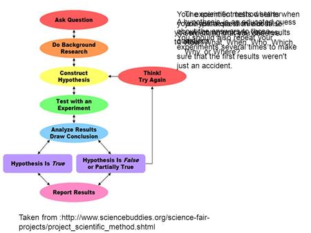 Your experiment tests whether your hypothesis is true or false.