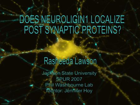 UCSD.EDU. Introduction Importance of Synapses -brain development -crucial for brain function.