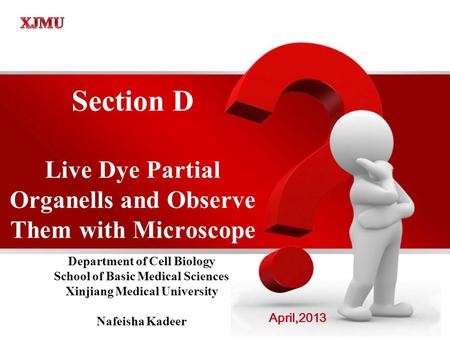 Section D Live Dye Partial Organells and Observe Them with Microscope April,2013 Department of Cell Biology School of Basic Medical Sciences Xinjiang Medical.