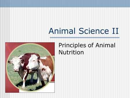 Principles of Animal Nutrition