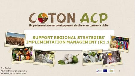 SUPPORT REGIONAL STRATEGIES’ IMPLEMENTATION MANAGEMENT (R1.1) 1 Eric Buchot Administrateur principal, ITC Bruxelles, le 2-3 Juillet 2014.