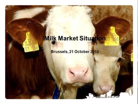 Milk Market Situation Brussels, 21 October 2010. Market Situation, 21 October 20102 !!! Data from some Member States are confidential and are NOT included.