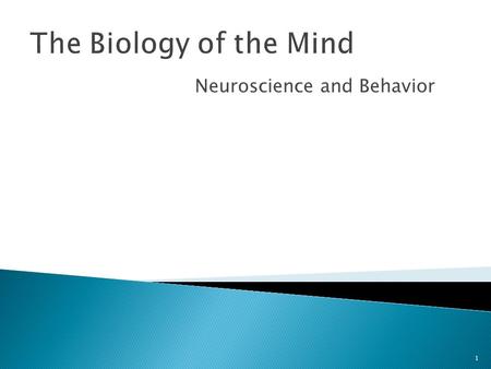 Neuroscience and Behavior 1 The Biology of the Mind.